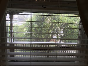 Quarto standard, para não fumantes, sacada (Room 2 (Essex Suite)) | Vista do quarto