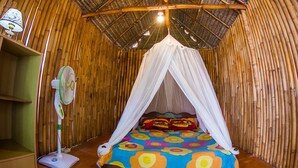 Rumah Pohon Ekonomi, pemandangan kebun | Tempat tidur lipat/tambahan