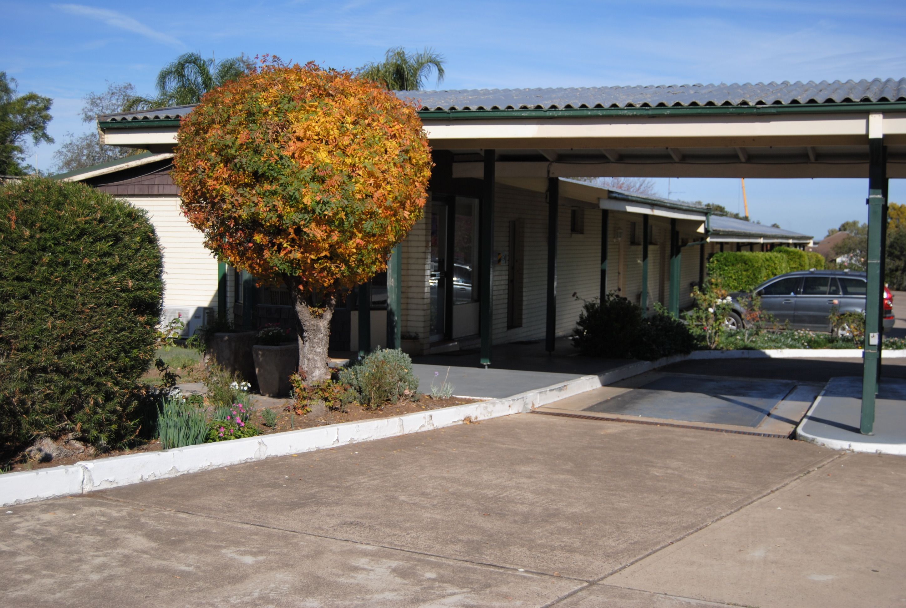 A covered parking area with a tree in front of a building with a tiled roof.