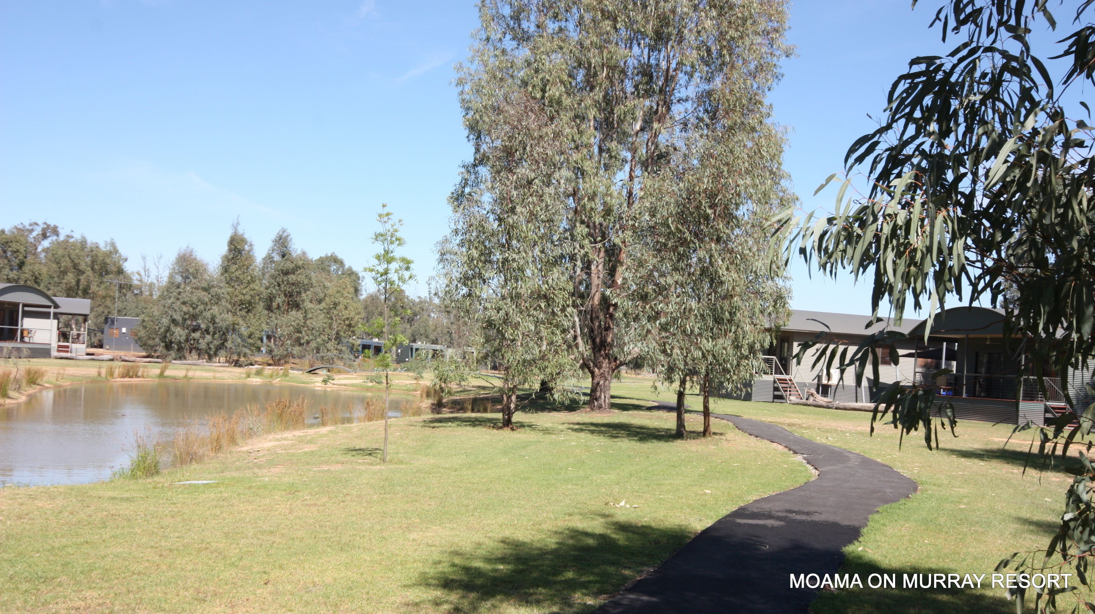 A pathway leading to a building with a pond and trees in the background.