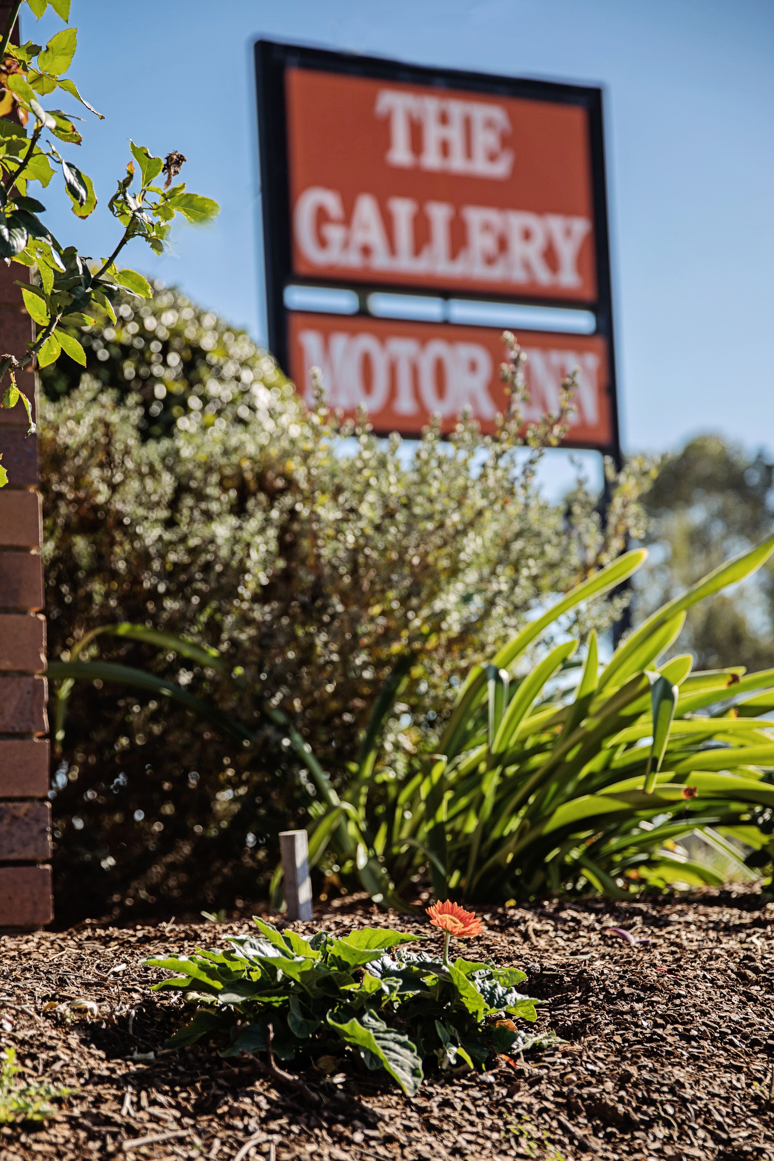 A sign for "The Gallery Motor Inn" with a brick wall and greenery in the foreground.