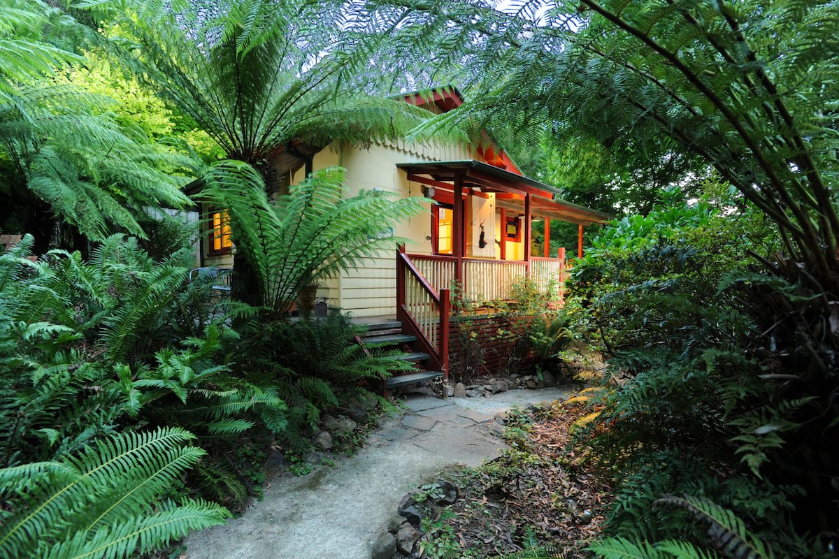 A house surrounded by lush ferns and a stone pathway leading to a wooden porch.