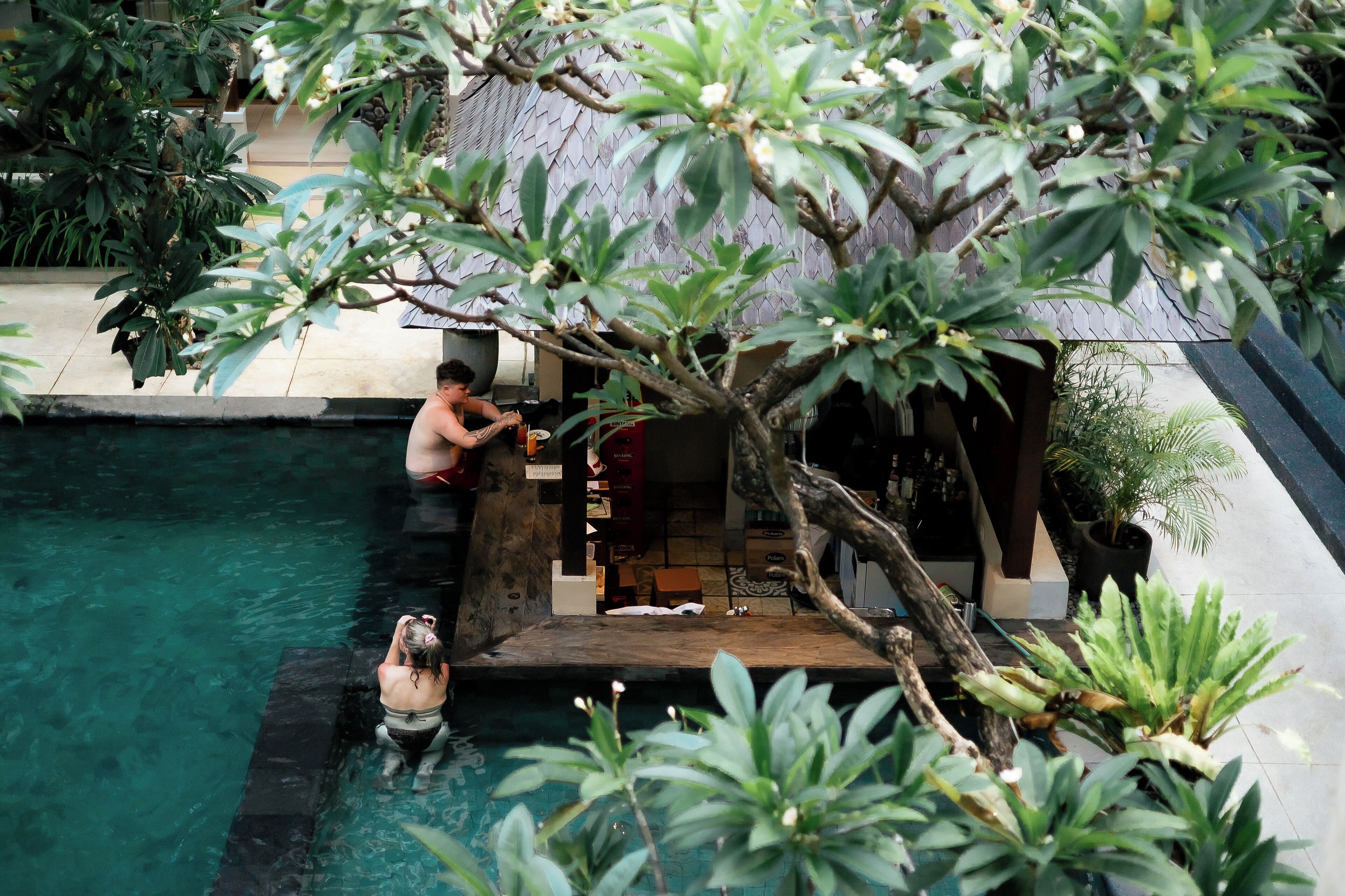 Un espace piscine doté d’une terrasse en bois et d’une végétation luxuriante.
