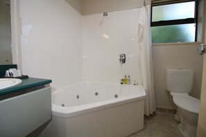 Hair dryer, towels - South Park Motel (Masterton)