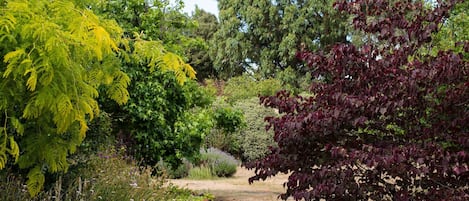 Garden view