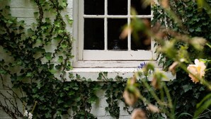 A window with a white frame, partially covered by green ivy. - Fitzpatrick's Inn (Westbury)