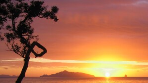 A sunset over a beach with a silhouette of a tree and rocky shoreline. - Waipu Cove Resort (Waipu)