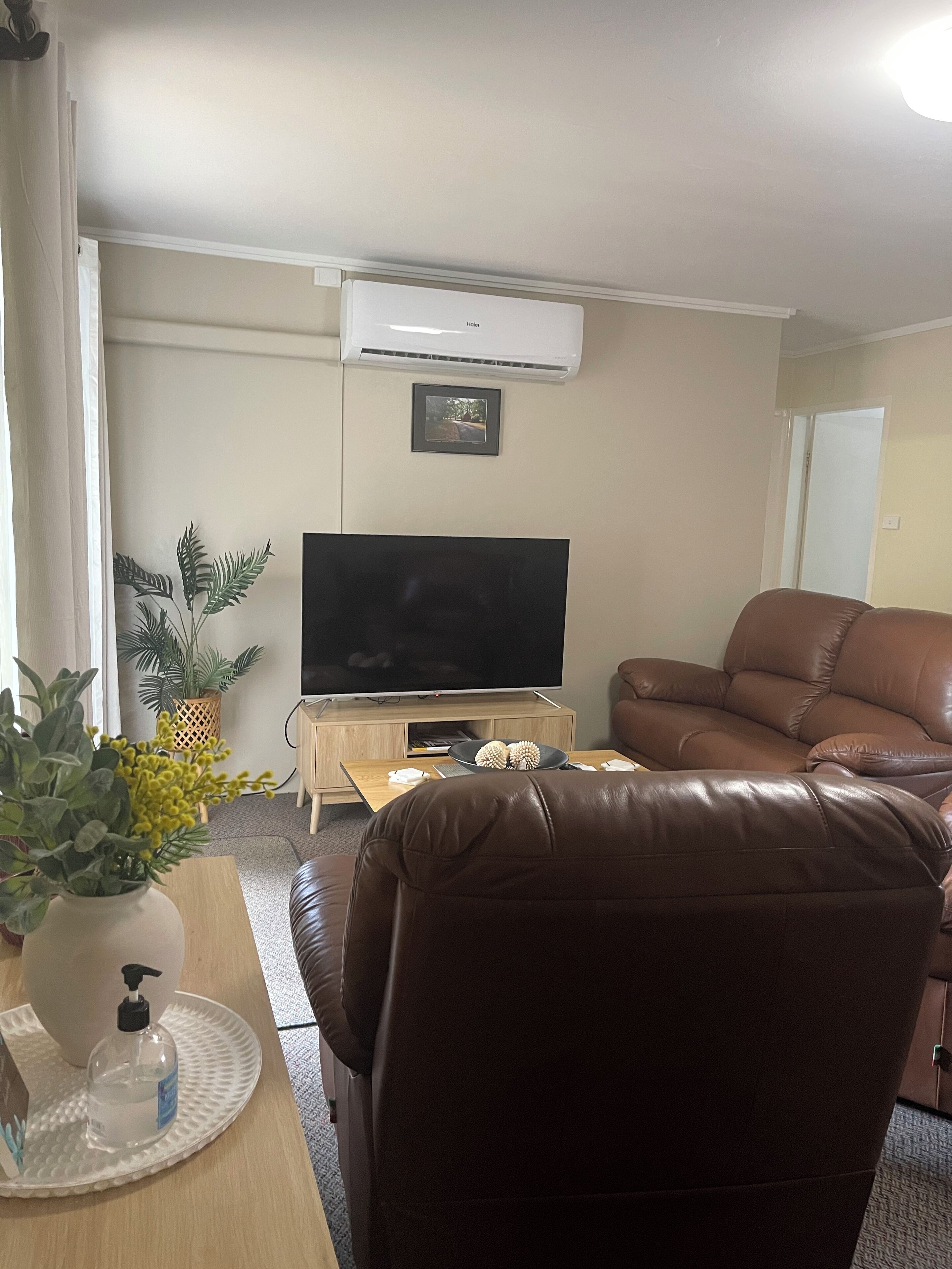 A living room with a leather sofa, a flat-screen TV on a wooden stand, a potted plant, and an air conditioning unit on the wall.