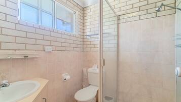 A bathroom with a toilet, sink, and shower area.