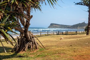 A coastal landscape with a tree, grassy area, and a view of the ocean and a distant hill.