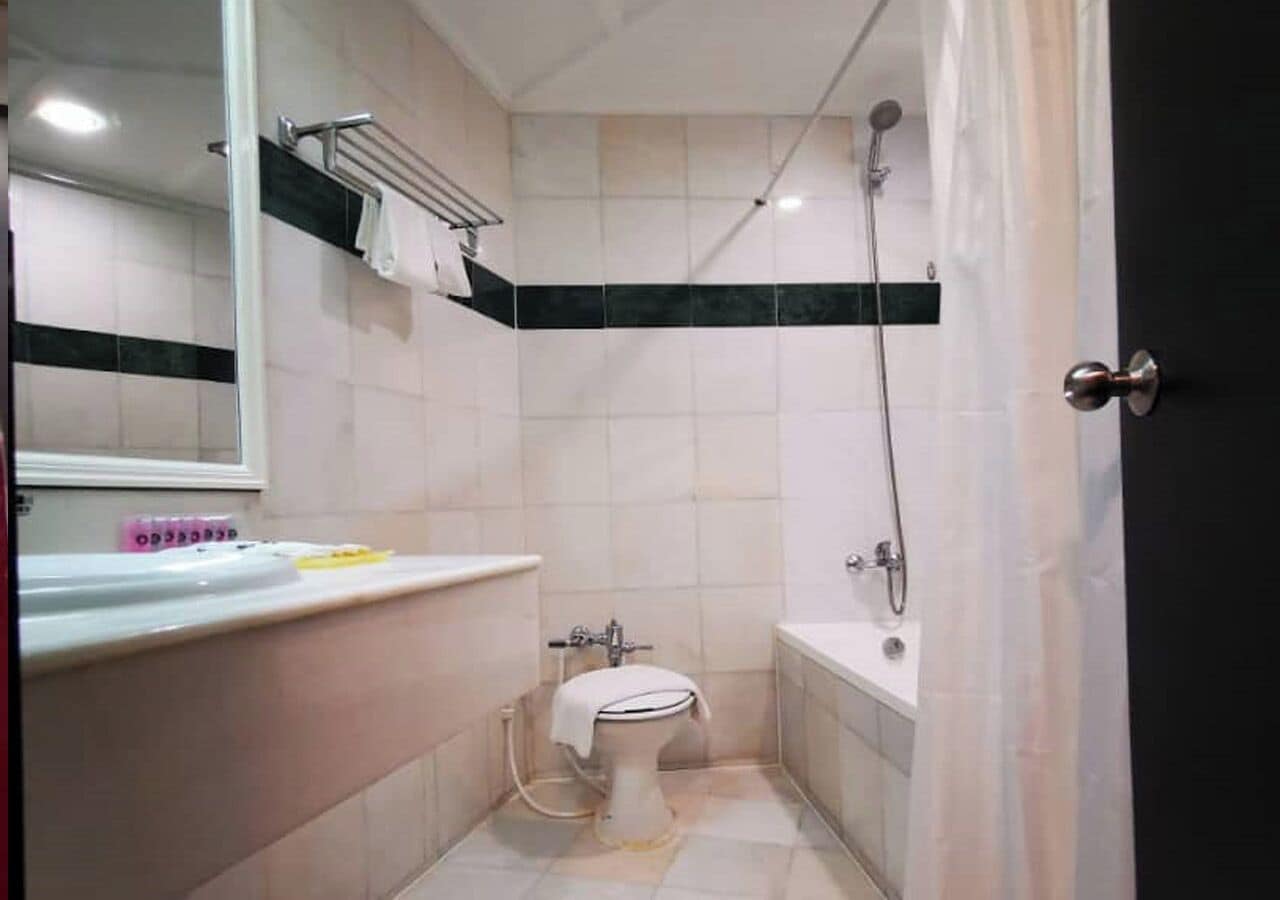 executive studio suite, 1 bedroom | bathroom | bathtub, free toiletries, hair dryer, bidet