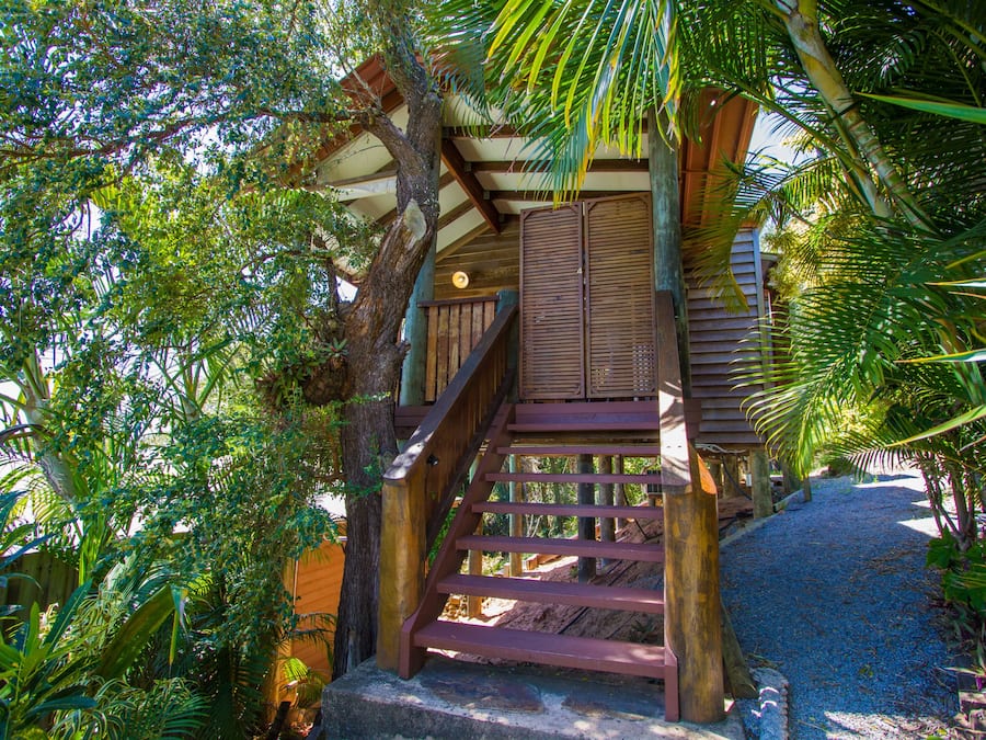 A wooden staircase leading to a covered area surrounded by lush greenery.