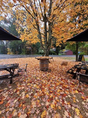 Property grounds - Harrietville Hotel Motel (Harrietville)