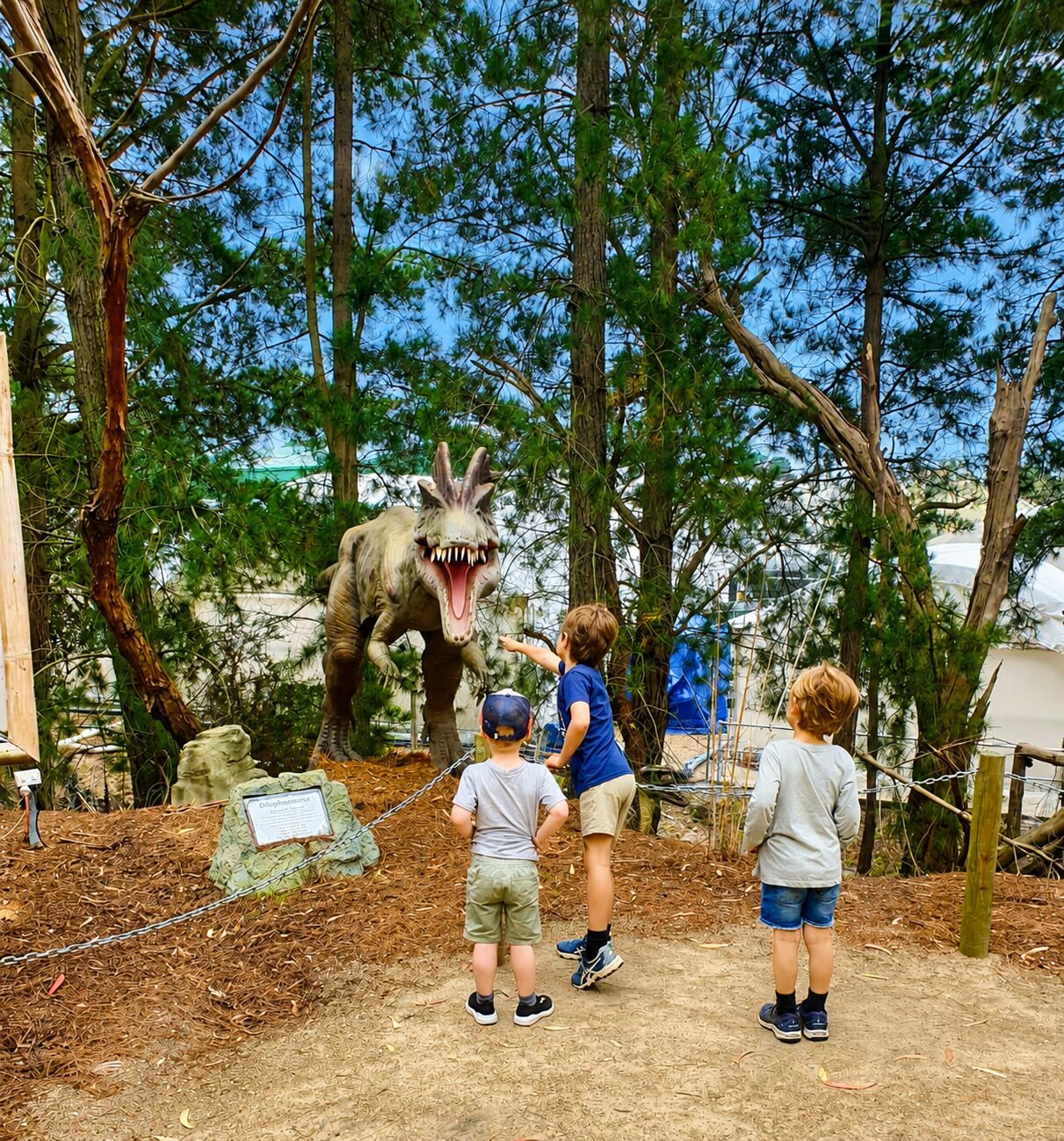 Un grupo de niños observando una exposición de dinosaurios al aire libre, con árboles y cielo despejado.