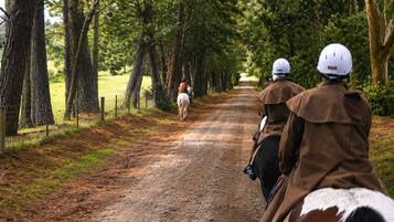 A dirt road flanked by trees, with horseback riders in protective gear.