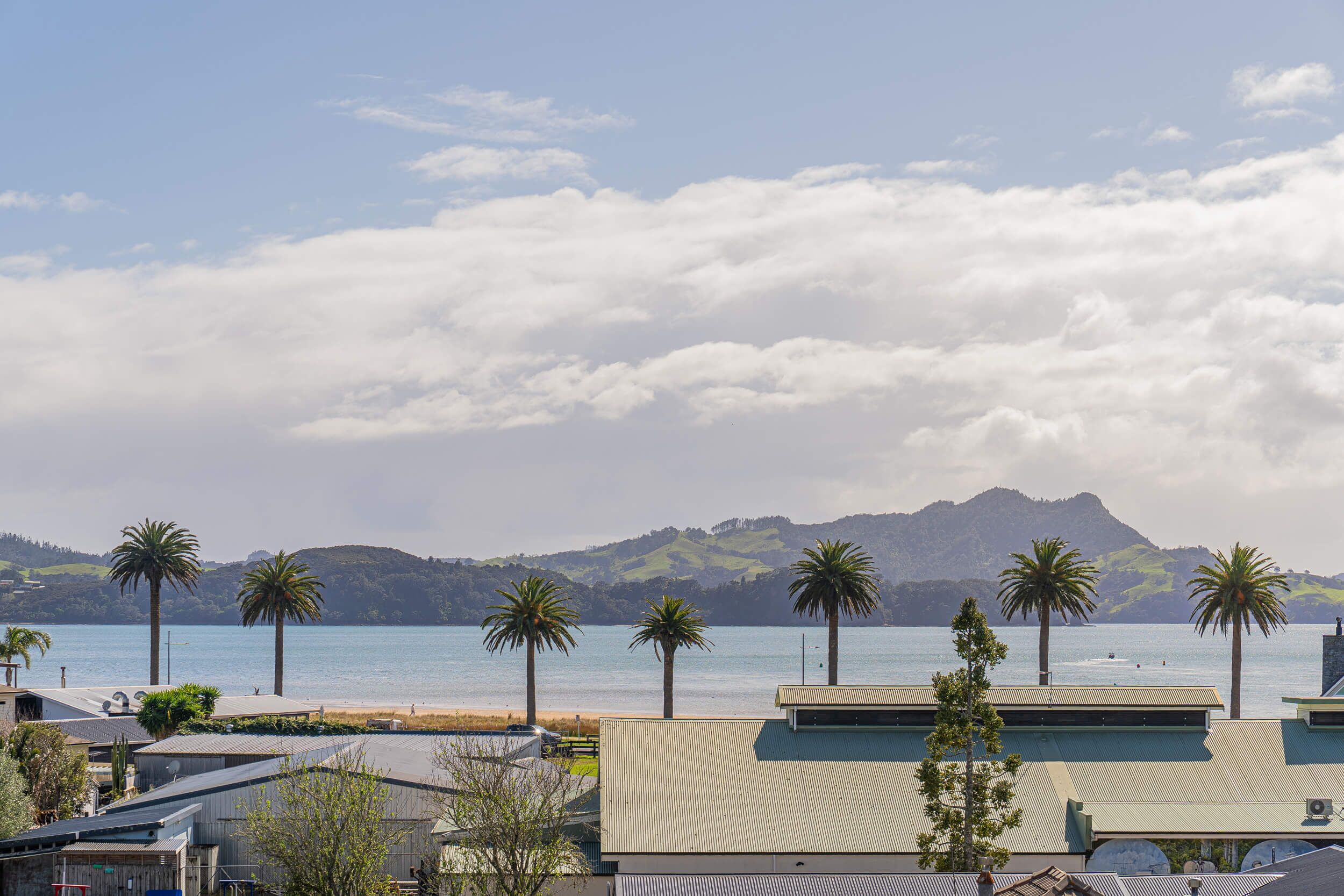 A coastal view with a beach, palm trees, and a mountain in the background.