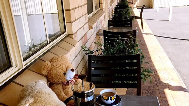 A table with a teddy bear, a coffee pot, and two cups of coffee on a patio with a brick wall and a window. - Starlight Motor Inn (Roma)