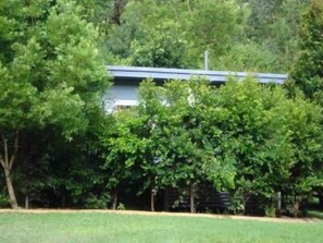 Property grounds - Mapleton Cabins & Caravan Park (Mapleton)