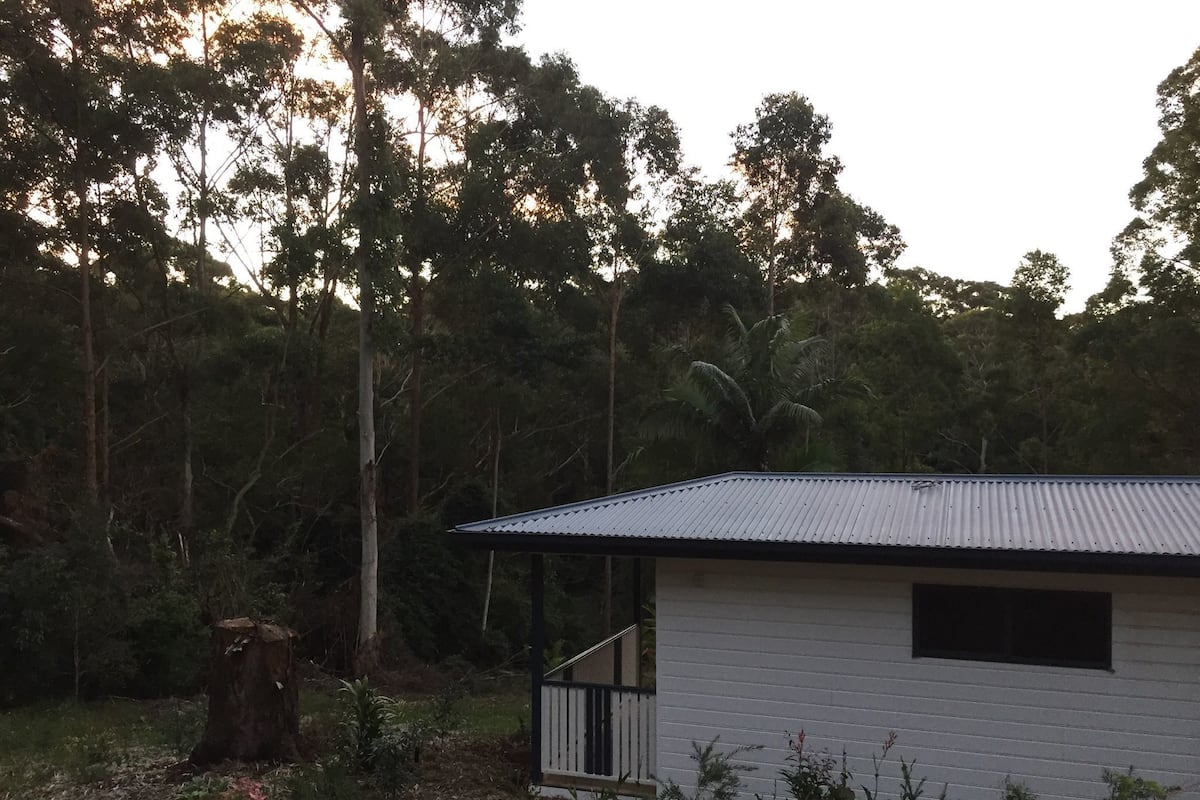 A small, single-story building with a metal roof and white walls, surrounded by dense forest.