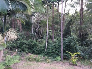 Villa (Disabled - Rainforest Views)