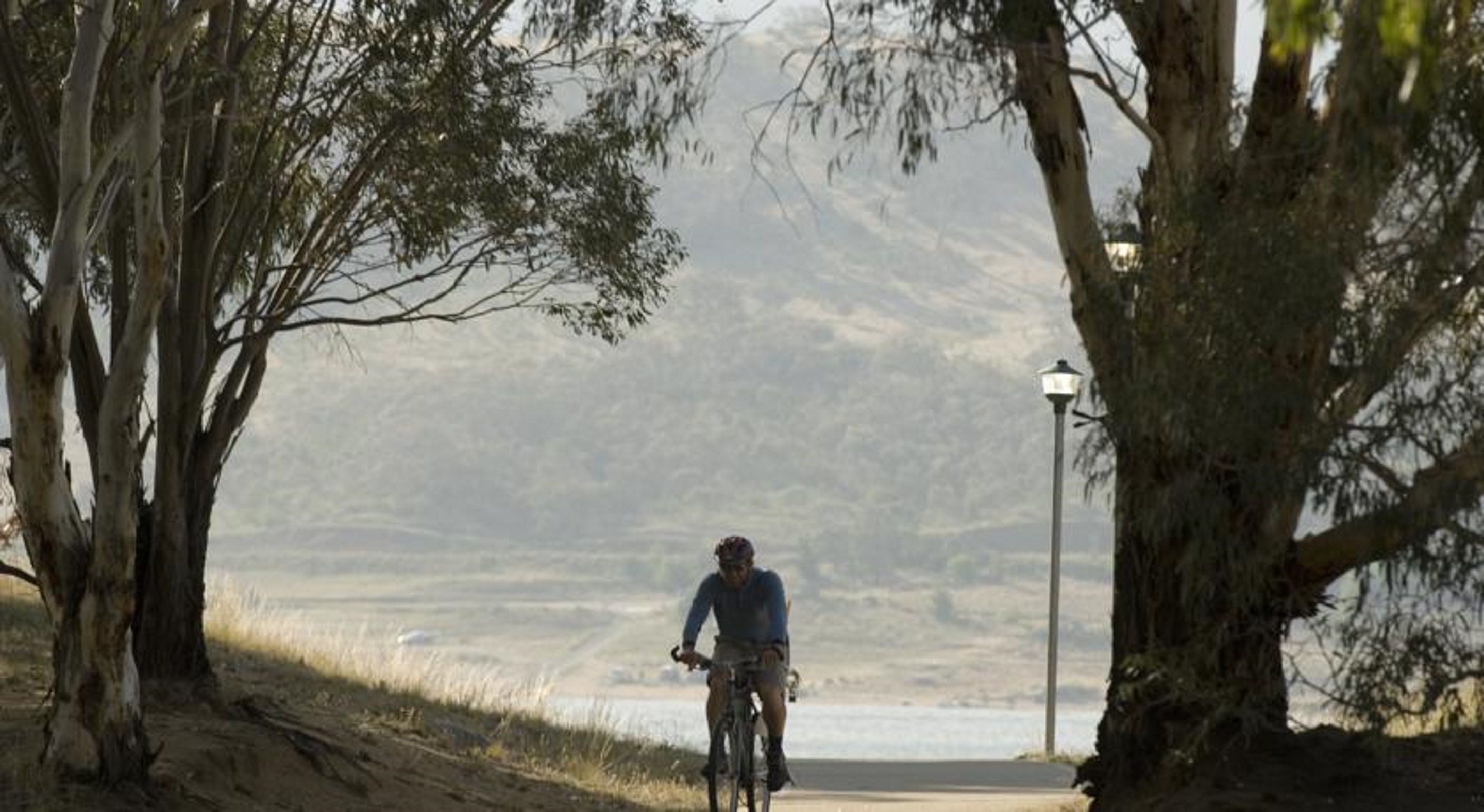 Un ciclista en un camino pavimentado, flanqueado por árboles y con un farol al fondo.