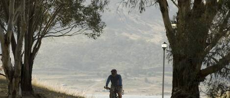 Un ciclista en un camino pavimentado, flanqueado por árboles y con un farol al fondo.