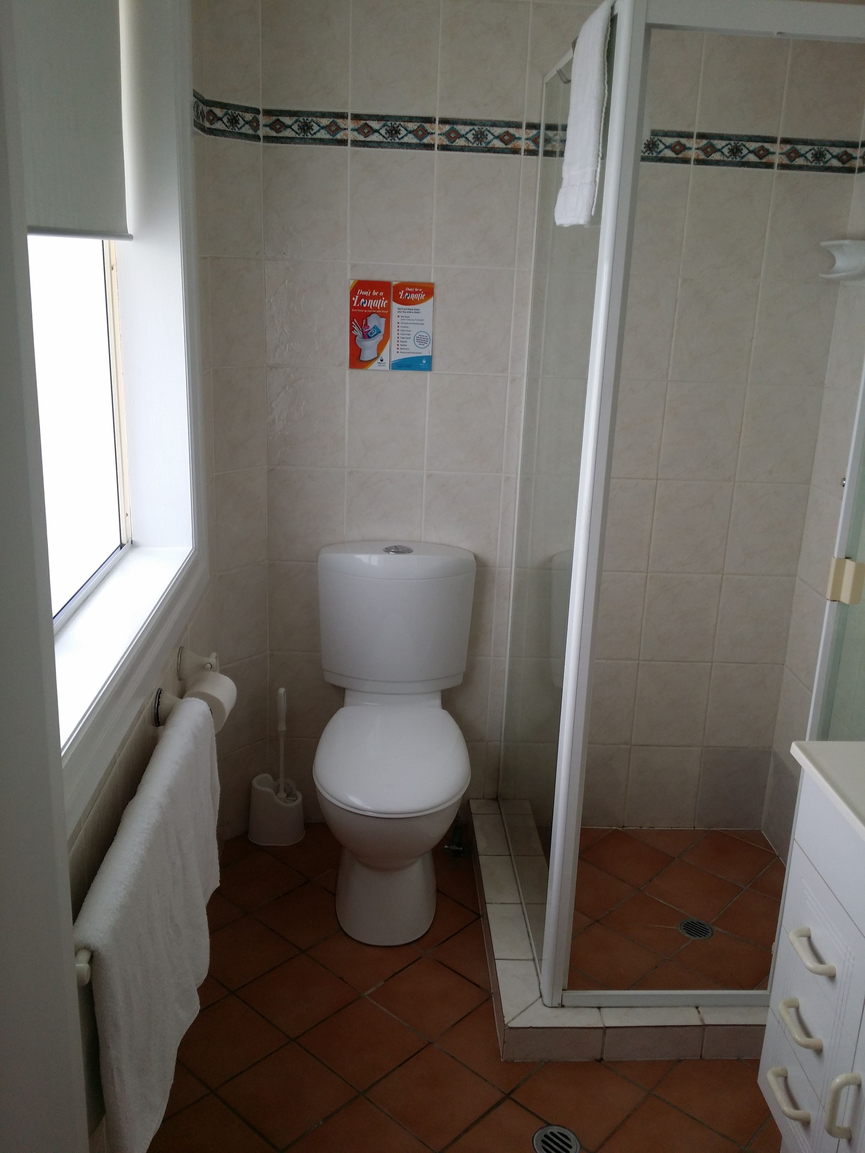 A bathroom with a toilet, a bidet, a shower, and a window.