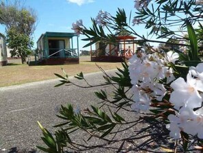 Property grounds - Lanis on the Beach - Old Bar (Old Bar)
