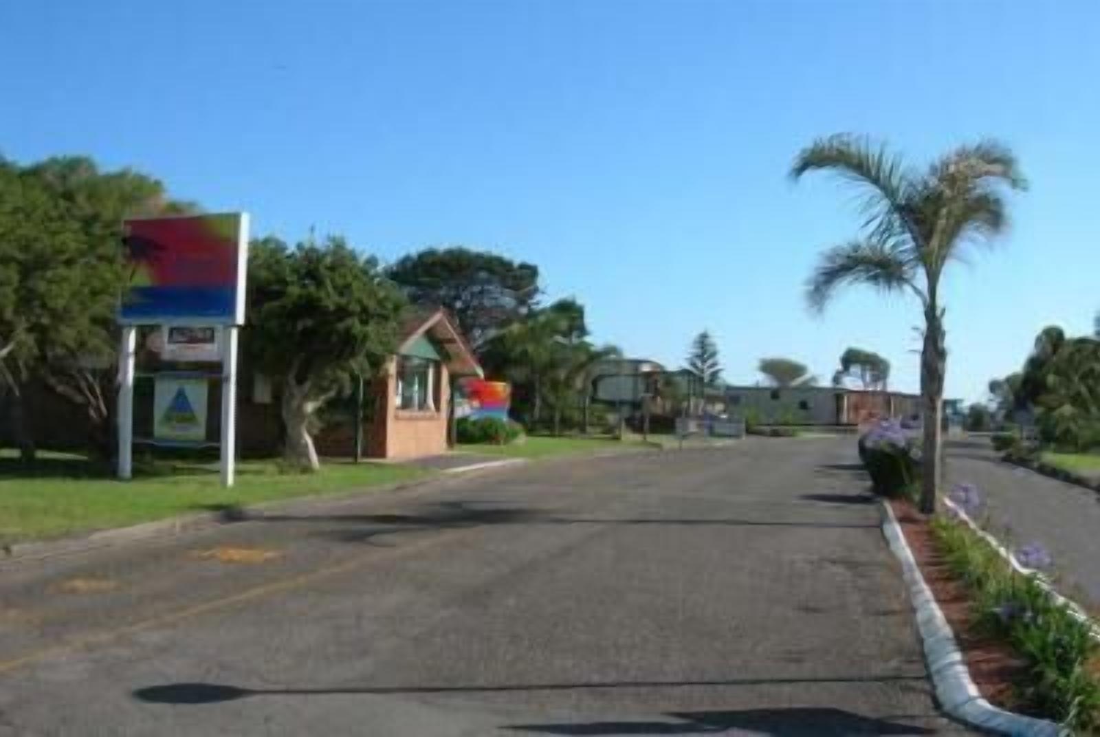 A street with a small building, a signboard, and a palm tree.