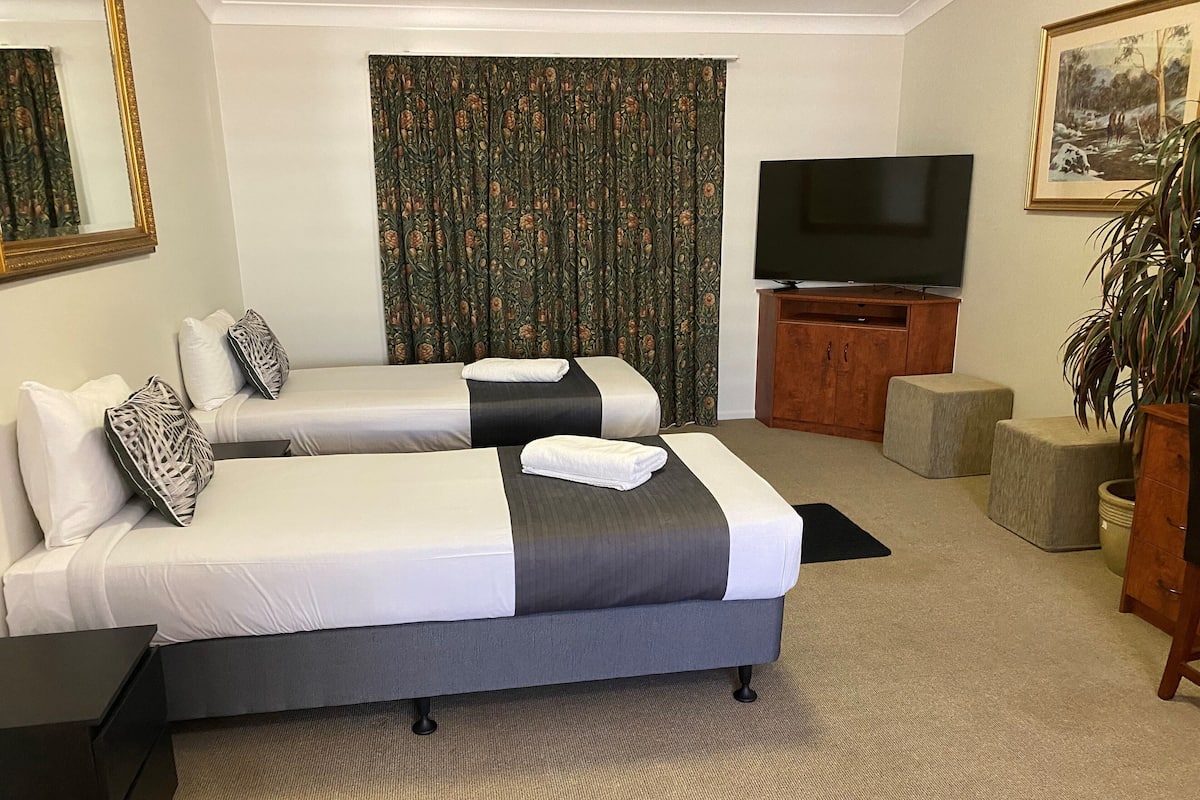 A hotel room with two beds, a television, a cabinet, and a plant.