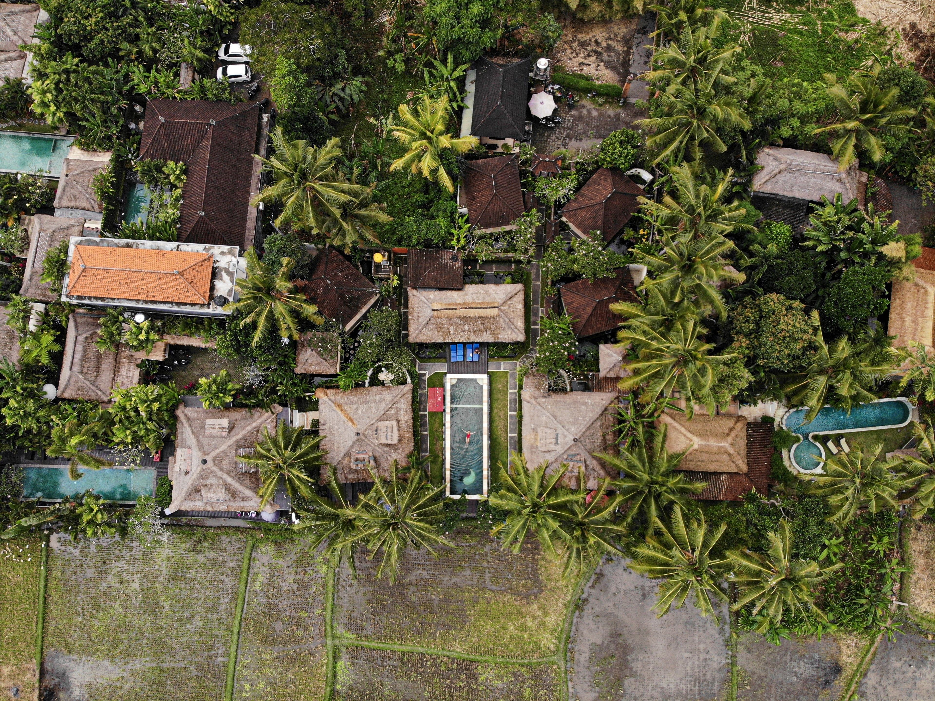 Photo - Lodtunduh Sari