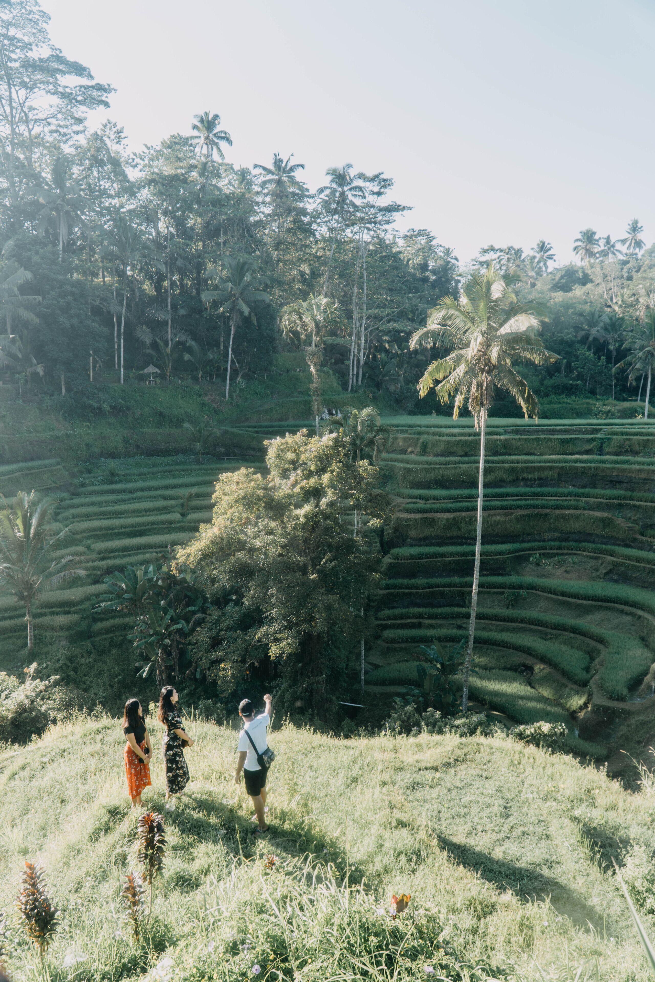 Foto - Lodtunduh Sari