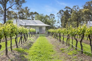 View from room - Emmas Cottage Vineyard (Lovedale)