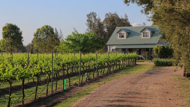 Exterior - Emmas Cottage Vineyard (Lovedale)