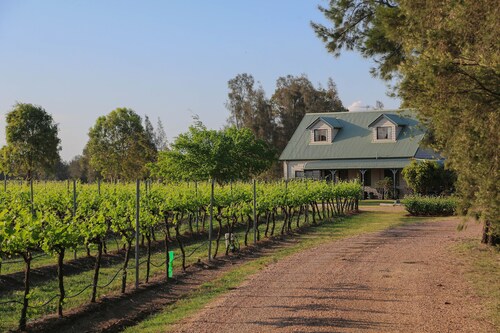 Emmas Cottage Vineyard