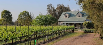Emmas Cottage Vineyard