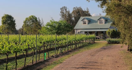 Emmas Cottage Vineyard