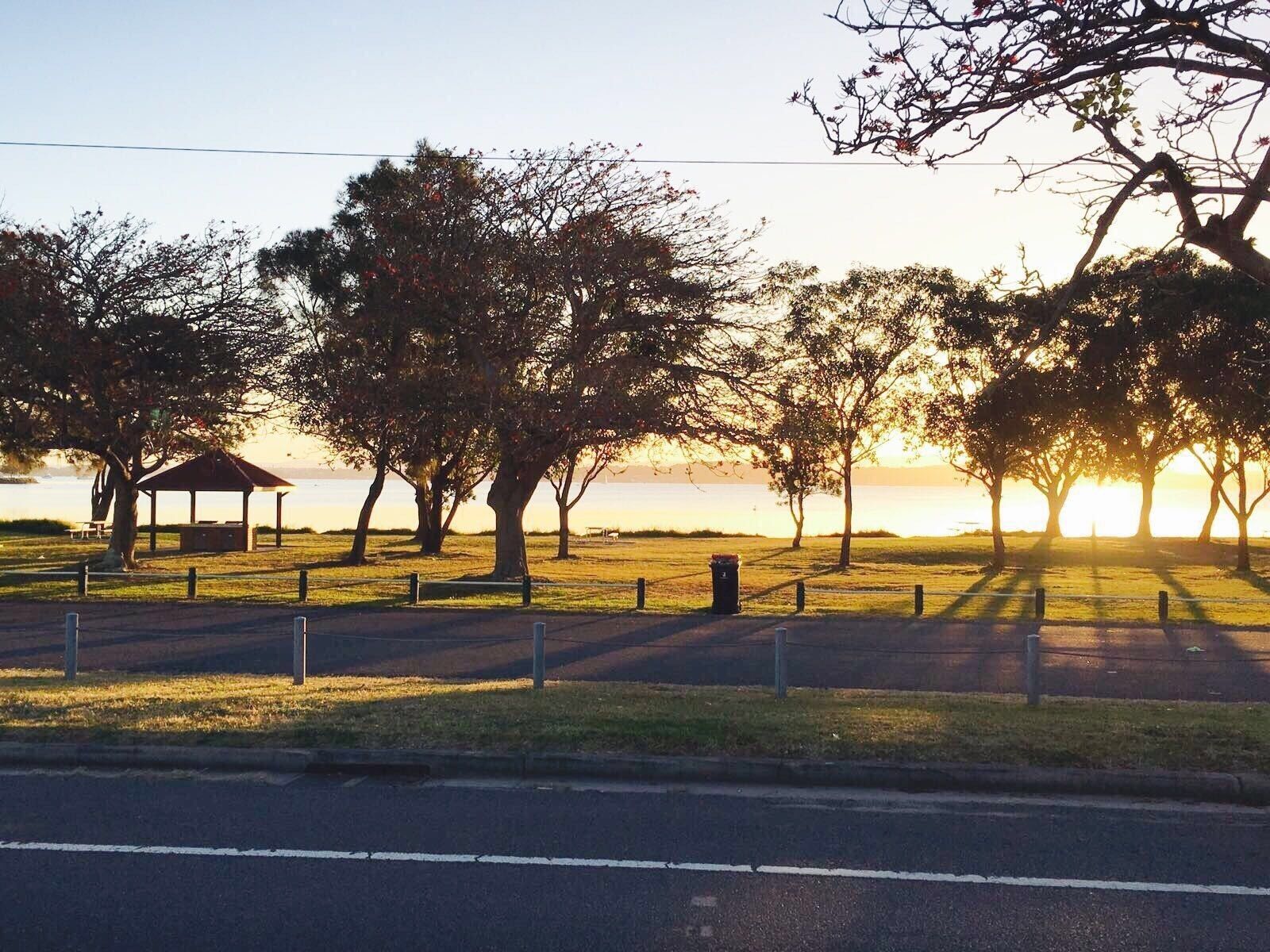 A park with a gazebo, trees, and a body of water during sunset.