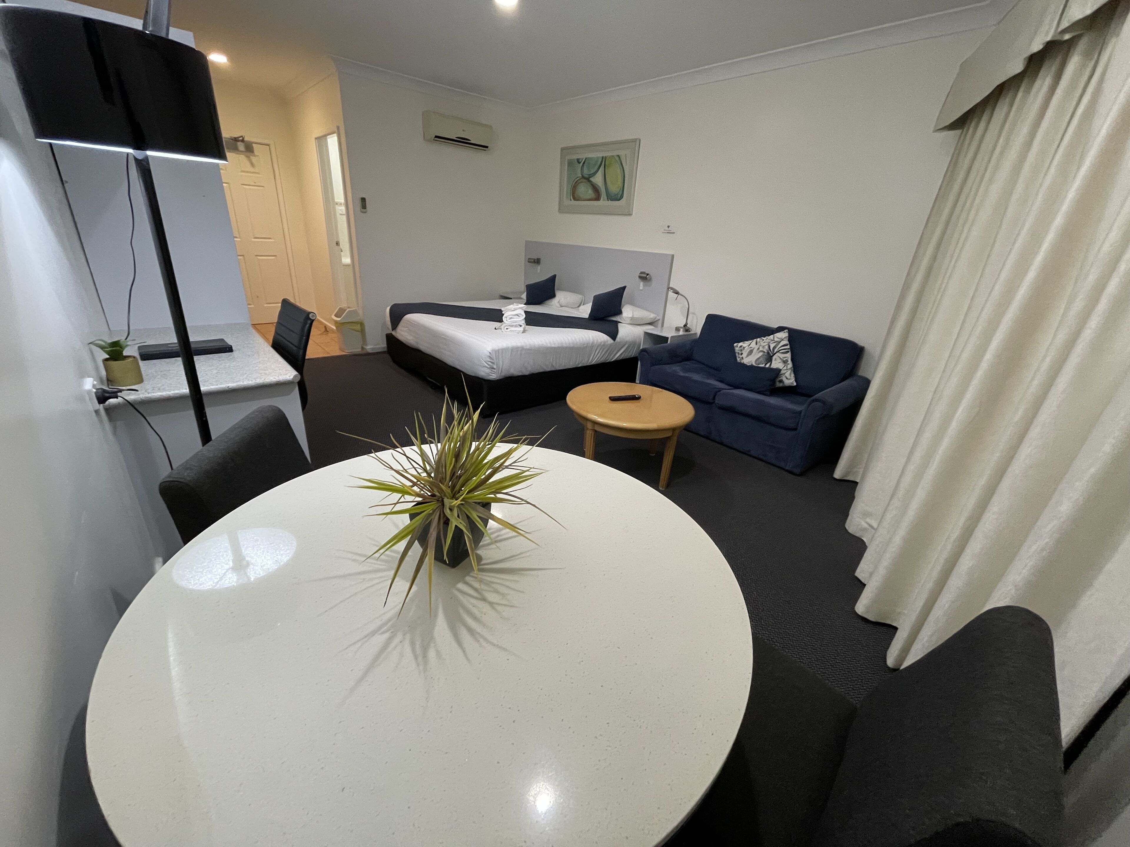 A hotel room with a bed, a sofa, a small round table, a desk, and a potted plant.