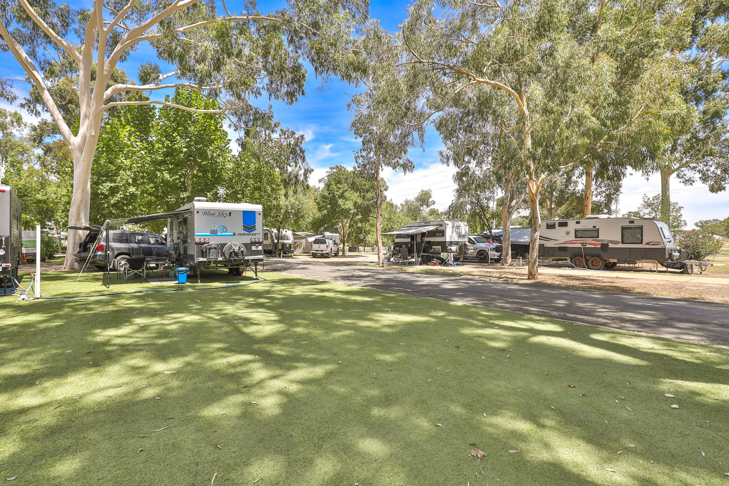A campsite with RVs and tents, trees, and a clear sky.