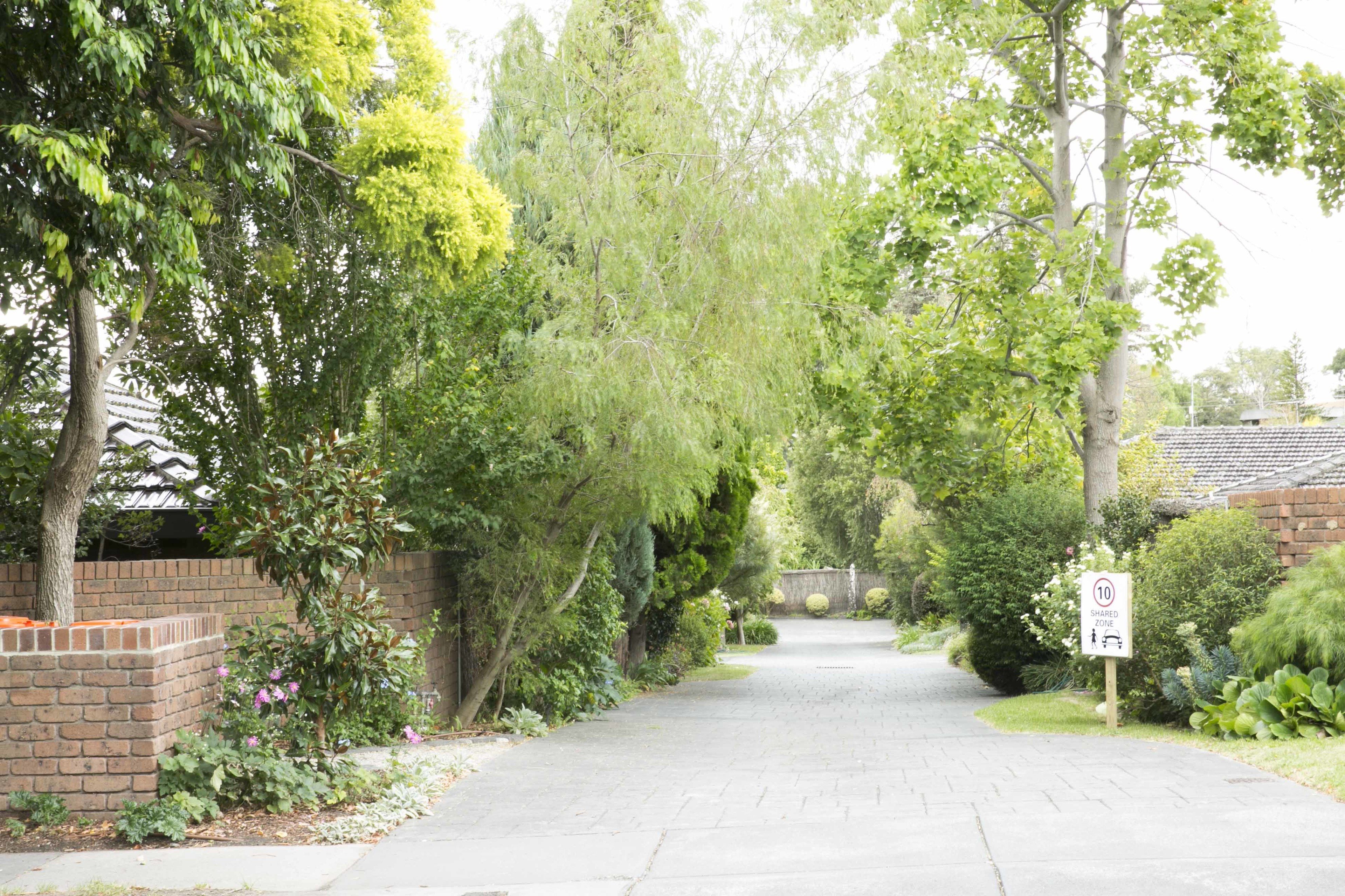 A residential driveway with a brick wall, lush greenery, and a shared zone sign.