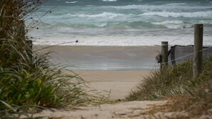 Una playa con olas, una valla de madera y algo de vegetación.