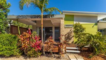 A modern house with a covered porch, a stone wall, and a variety of tropical plants.