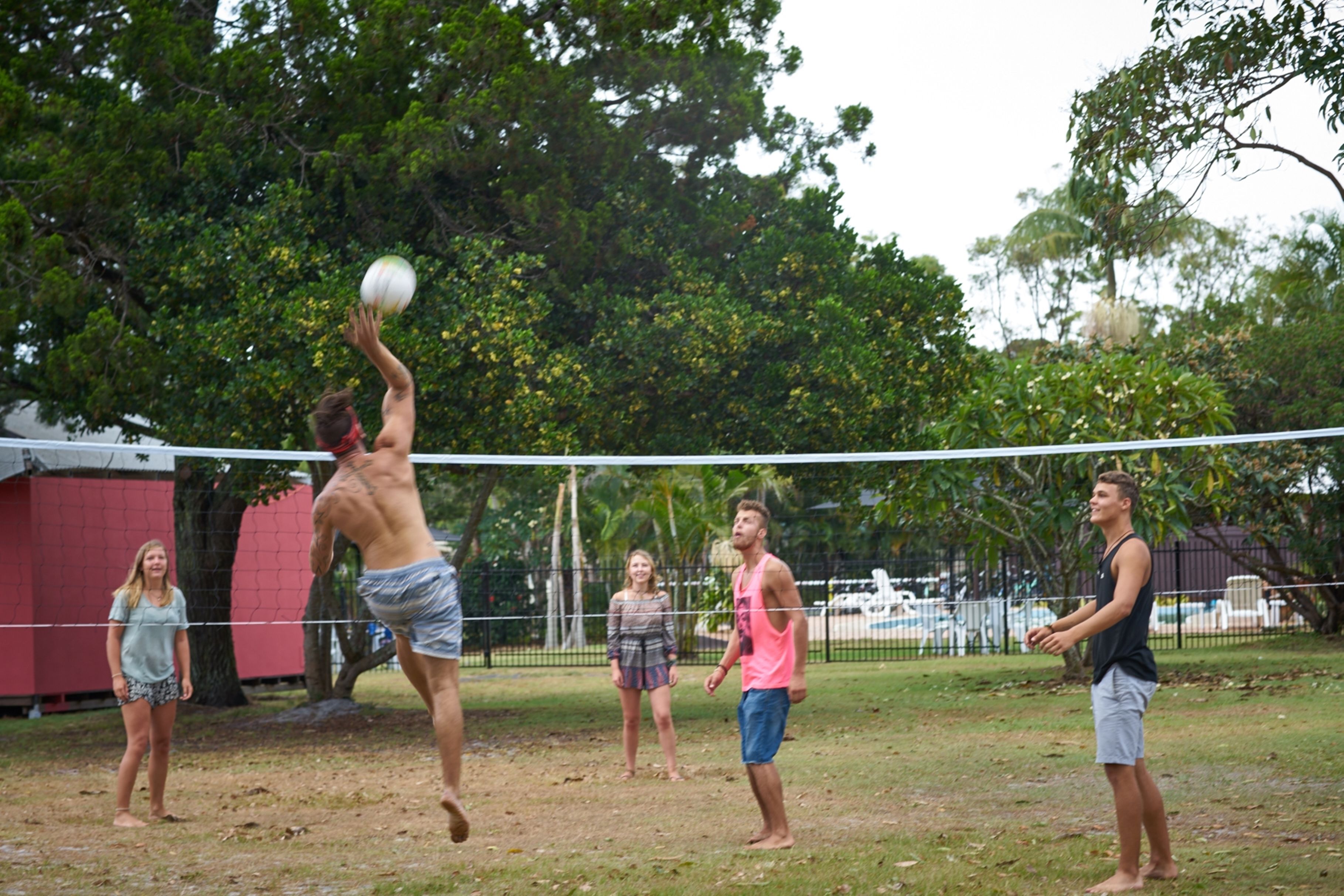 Un grupo de personas jugando voleibol en un campo cubierto de césped, con árboles al fondo.