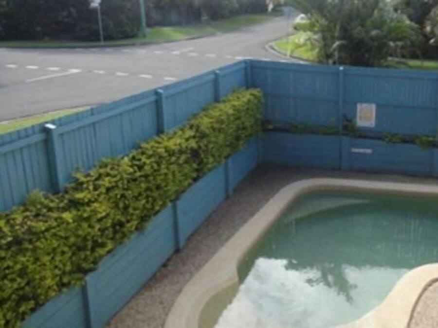 A swimming pool surrounded by a blue fence, with a road and greenery in the background.