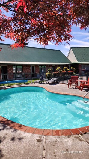 A swimming pool with a brick border, surrounded by lounge chairs and a building with a green roof. - Ashburton's Regency Motel (Ashburton)