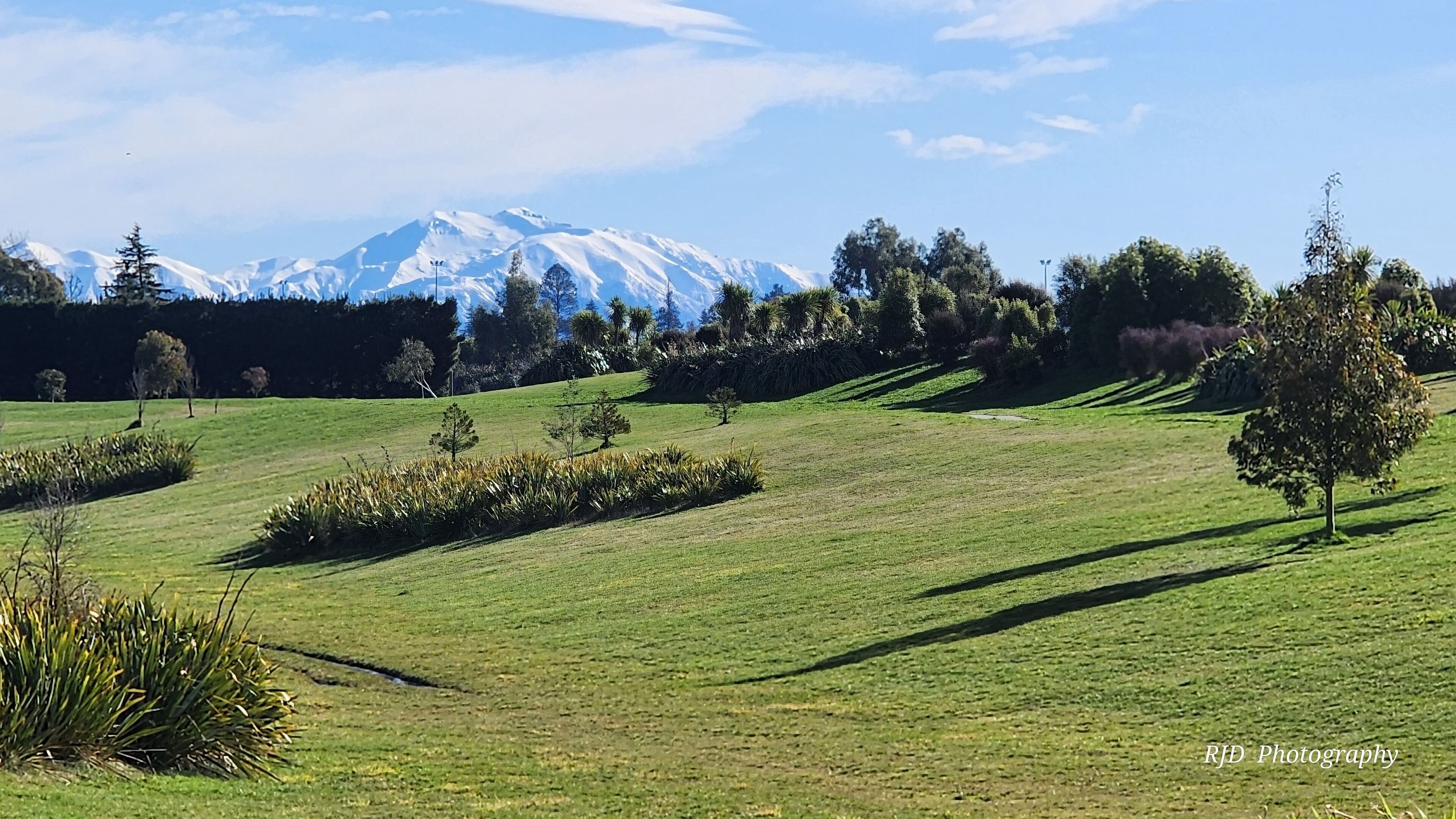 Ein grasbewachsenes Feld mit einem Berg im Hintergrund.