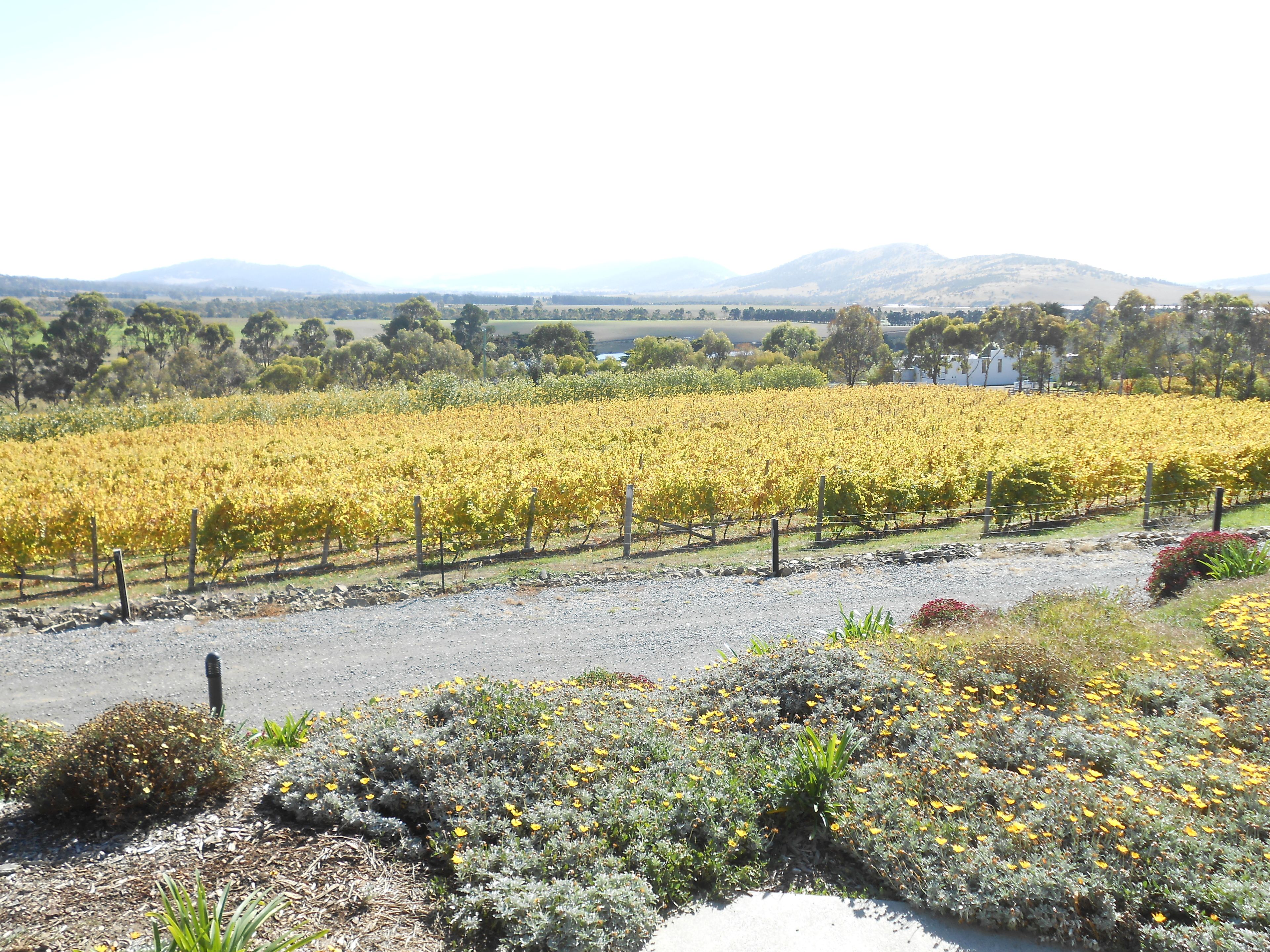 Riversdale Estate Cottages — image 24