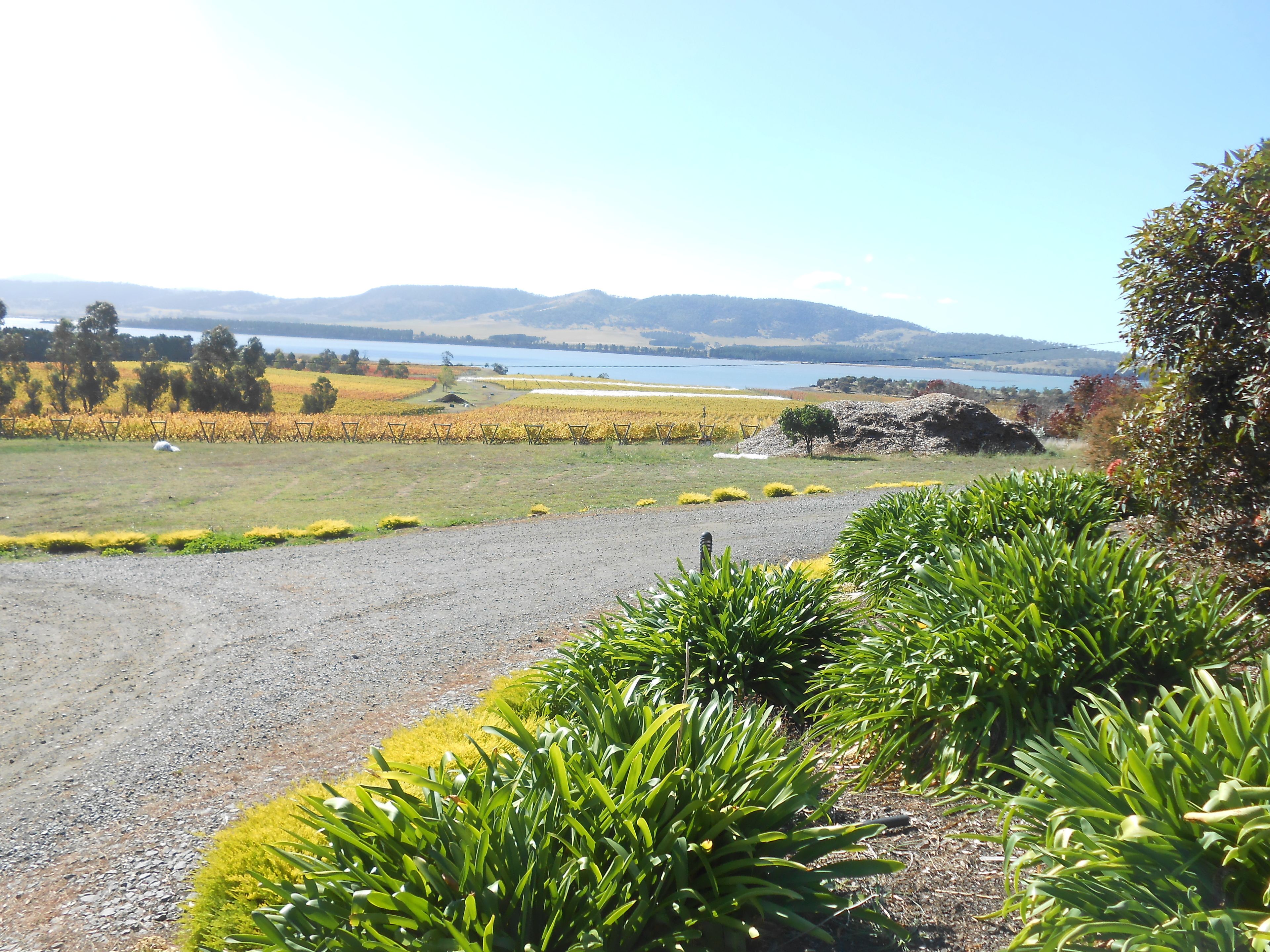 Riversdale Estate Cottages — image 11