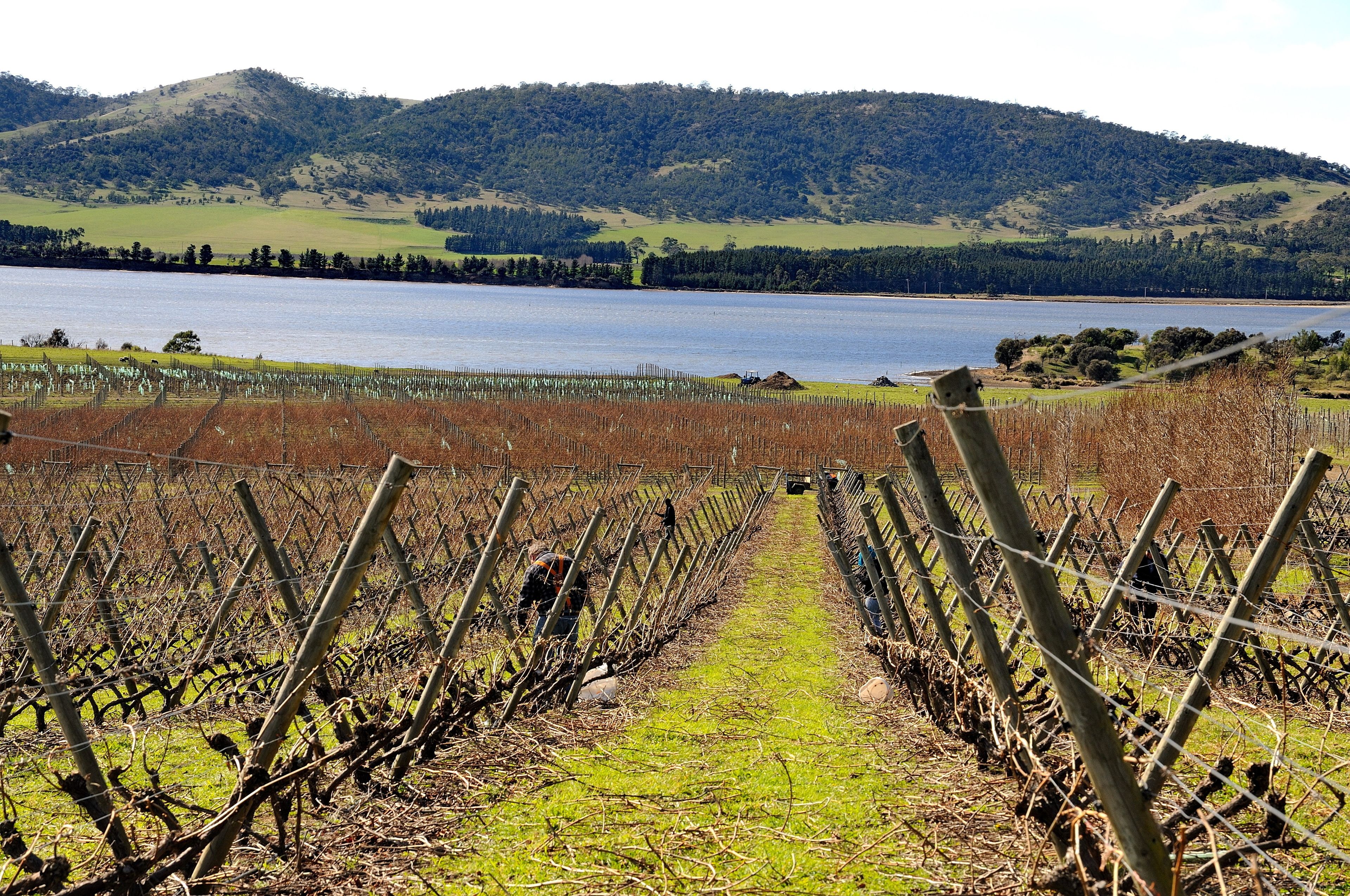 Riversdale Estate Cottages — image 25